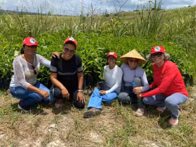 MST promove abertura de assentamento em Recife para que voluntários conheçam a organização e cultivem alimentos destinados à doação; confira como participar
