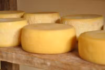 Queijo de cabra se torna patrimônio cultural da Paraíba, impulsionando agricultores da Reforma Agrária na região