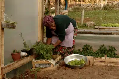 Iniciativa visa assegurar centro de apoio para jovens quilombolas, indígenas, de áreas periféricas e LGBTQIAPN+ em Salvador