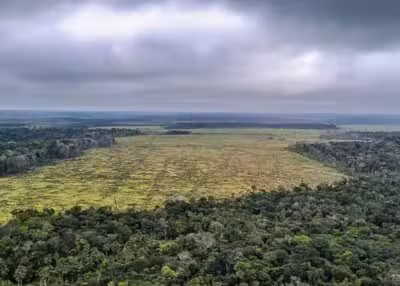 Especialista alerta: “Precisamos agir rapidamente para evitar um ponto de não retorno.”