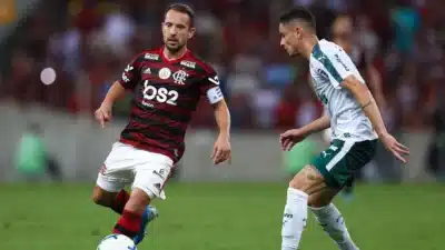 Flamengo provoca Palmeiras e destaca conquistas históricas no Brasileirão
