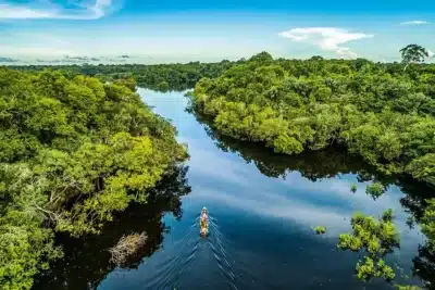 COP29 e Princípios de Investimento Responsável: 5 mil profissionais buscam impulsionamento do capital verde
