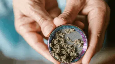 Anvisa proíbe venda de produtos de cannabis no Brasil