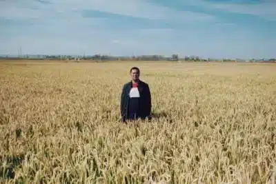 China investe em IA para proteger cultura e impulsionar economia rural China investe em IA para proteger cultura e impulsionar economia rural