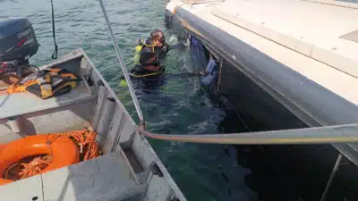 Motorista morre em capanga de ônibus no Rio Tocantins