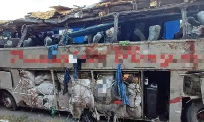 Motorista sobrevive a acidente em Pernambuco com 15 mortos