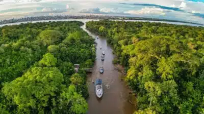 Governo busca US$ 100 bilhões na COP30 para TFFF