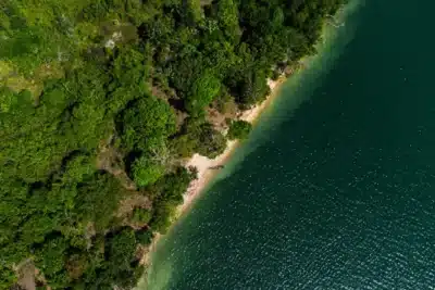 Brasil sacrifica credibilidade climática antes da COP em Belém por causa da exploração de petróleo na Amazônia