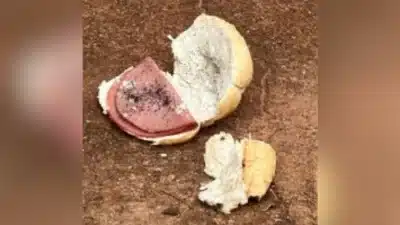 Idoso confessa envenenar jovem com pão de mortadela em MS