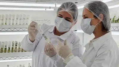 Terapia farmacológica para doenças mitocondriais surge em estudo da “Science”