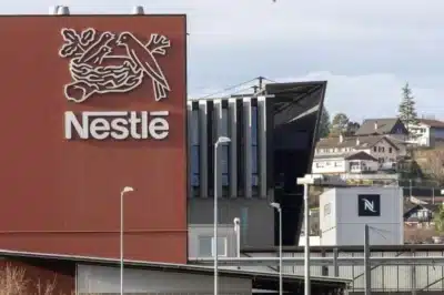 Nestlé e BB investem R$ 100 milhões em produção de leite sustentável
