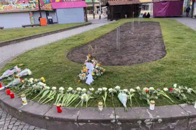 Dia de Finados: Moiras, Fênix e o Fogo da Memória que Persiste