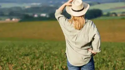 Agronegócio Brasileiro: Desafios, Sustentabilidade e Oportunidades para o Futuro