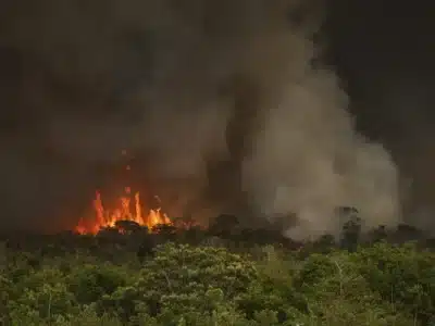 Incêndios na Amazônia: Fogo, Clima e Desafio da Participação Comunitária