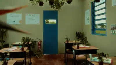 COP30: Urgência Climática e Voz das Comunidades no Brasil