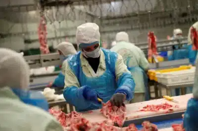 MBRF embraia captação recorde de debêntures com valor de R$ 2,375 bilhões