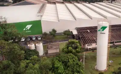 Klabin divulga projeções de investimentos de R$ 2,9 bi para 2025-2028