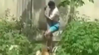 MPPB Inicia Investigação Após Morte de Jovem em Parque Zoobotânico