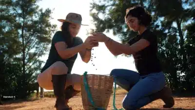 Fazendas do Cerrado Mineiro: Herança, Inovação e Liderança Feminina
