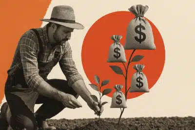 Caminho Verde Brasil: Novo Crédito e Restauração de Áreas Degradadas no Campo