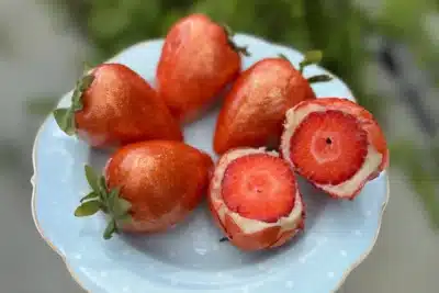 Memes da internet: “Guiana Brasileira” e outros fenômenos de 2025 viralizam!