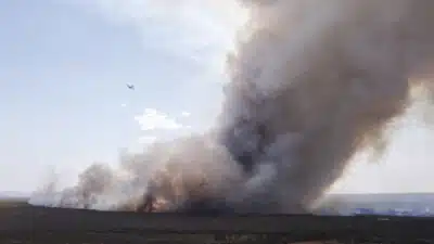 Governo destina R$ 60 milhões para combater incêndios e desmatamento em 2025