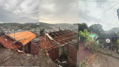 Temporal Destrói Cidades na Serra Gaúcha: Flores da Cunha em Situação Crítica