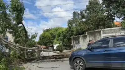 Vento forte atinge São Paulo: caos, voos cancelados e alerta no Sul do país