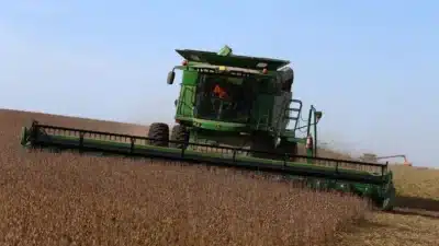 Greve de 24 Horas em Sementes Oleaginosas na Argentina: FTCIODyARA Lidera Ação