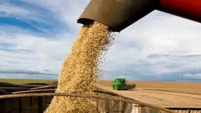 Comissão Europeia aponta queda nas importações de grãos e soja na UE