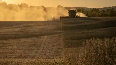 Auxílio Federal de US$12 Bilhões Busca Aliviar Preocupações na Agricultura Americana