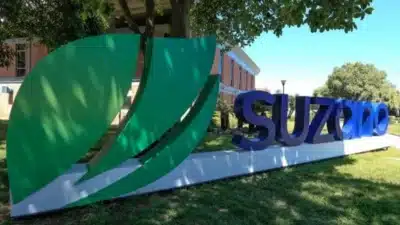 Suzano reduz meta de dívida e busca desalavancagem em cenário desafiador