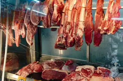 Abrafrigo alerta para perdas de US$ 3 bilhões em exportação de carne à China
