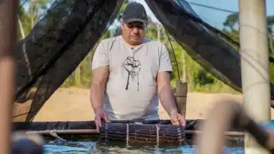 Márcio Lima lança projeto sustentável de camarão em Mazagão – Amapá