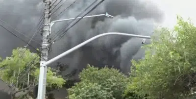 Incêndio Destrói Loja de Flores em São Paulo: Sem Vítimas Fatais