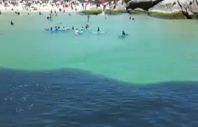 Cardume de peixes gigante impressiona nas praias do Rio de Janeiro