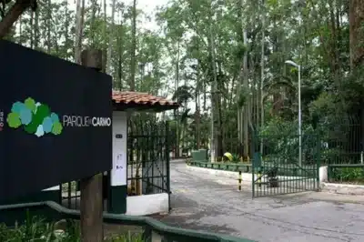 Ventos Fortes Fecham Parques em São Paulo e Região Metropolitana