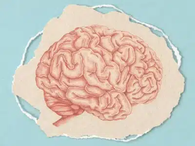 Estudo Promissor: Composto Reverte Alzheimer em Animais – Novo Tratamento Revelado