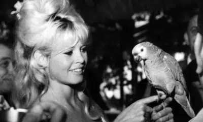 Brigitte Bardot: Homenagem e Búzios se tornam destino turístico famoso