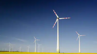 Mercado Eólico no Brasil Enfrenta Desaceleração com Desafios e Oportunidades