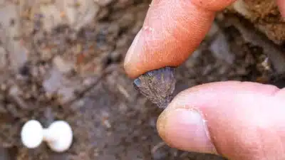 Humanos controlavam fogo há 400 mil anos: descoberta revolucionária na Inglaterra