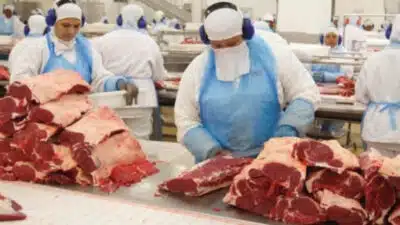 Brasil ultrapassa EUA e lidera produção mundial de carne bovina em 2025!