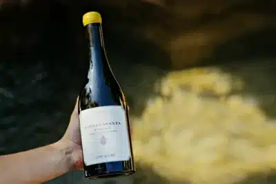 Elisabetta Foradori Resgata Território Trentino com Vinhos de Alta Qualidade