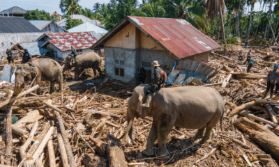 Inundações causam crise humanitária no Sudeste Asiático: mortos, feridos e escassez de ajuda