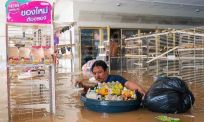 Crise Climática: Ásia Precisa de US$ 4 Trilhões para Evitar Colapso de Água e Energia