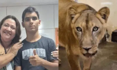 Jovem morre em João Pessoa: causa da morte aponta para ataque de cachorro