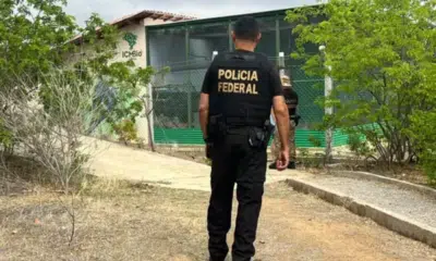 Polícia Federal investiga circovírus em criadouro de ararinhas na Bahia
