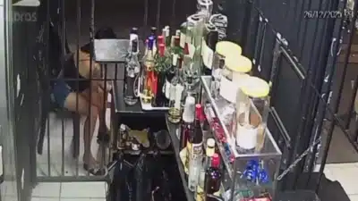 Mulher é Assassinada em SP Após Alvos de Tiro; Suspeitos Identificados?