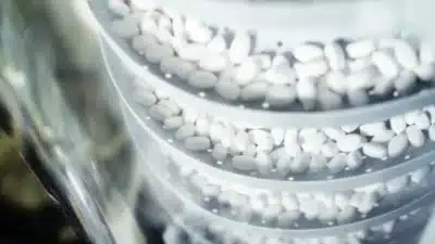 Novo Medicamento Wegovy para Perda de Peso Aprovado pela FDA nos EUA