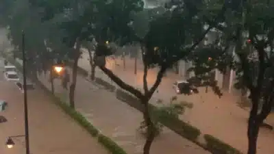 Petrópolis em crise: Inundações graves e alerta máximo na cidade